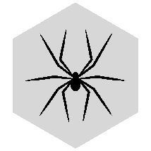 Icoonspider